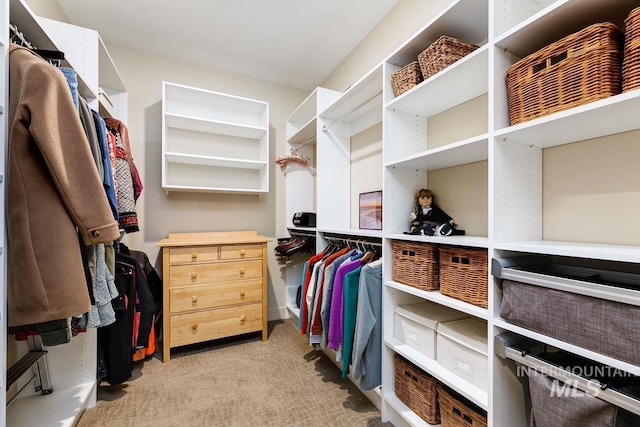 880 W River St, Boise, ID 83702 - spacious closet featuring light colored carpet