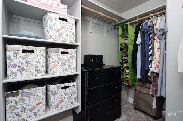 walk in closet featuring carpet floors