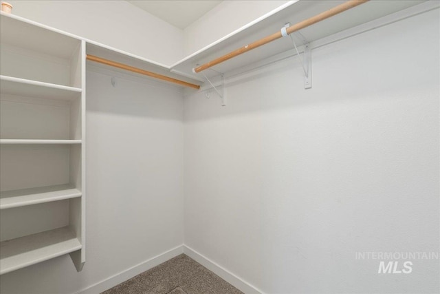 spacious closet with carpet