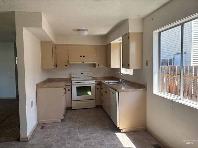 kitchen featuring cream cabinets, a sink, baseboards, under cabinet range hood, and white appliances