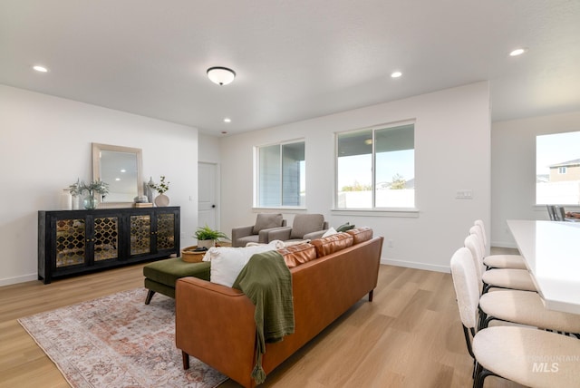 living room with light hardwood / wood-style flooring