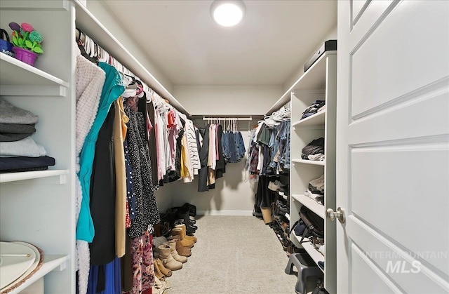 5094 W Avilla Dr, Meridian, ID 83646 - walk in closet featuring carpet