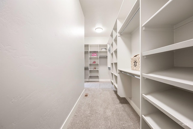 1071 W Rose Quartz St, Kuna, ID 83634 - walk in closet with light colored carpet