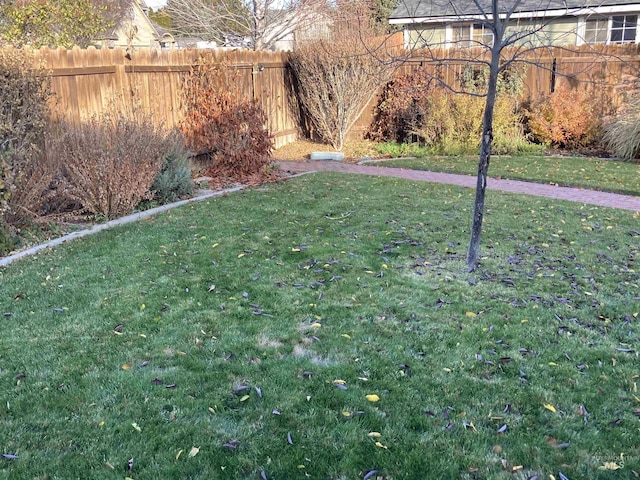 view of yard featuring fence private yard