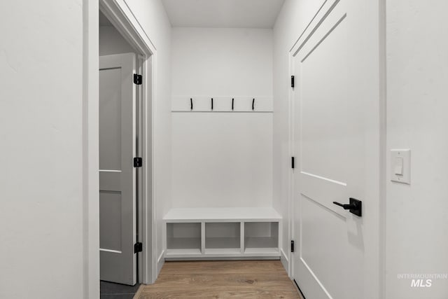 1724 Black Elm, Star, ID 83669 - mudroom with light wood-style floors