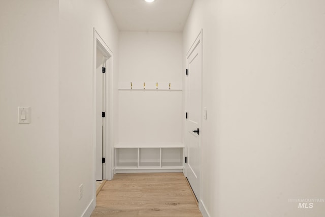 1724 Black Elm, Star, ID 83669 - hallway with light wood-style flooring and baseboards