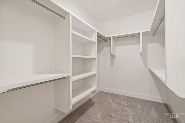 1724 Black Elm, Star, ID 83669 - spacious closet featuring carpet
