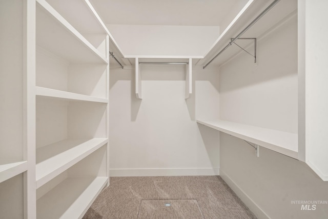 1724 Black Elm, Star, ID 83669 - spacious closet with carpet flooring
