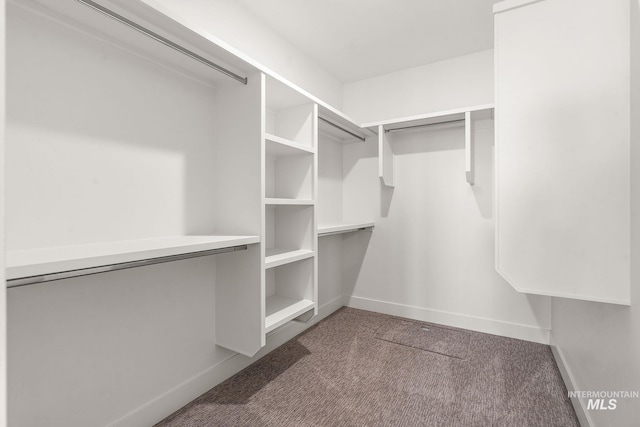 1724 Black Elm, Star, ID 83669 - walk in closet featuring carpet