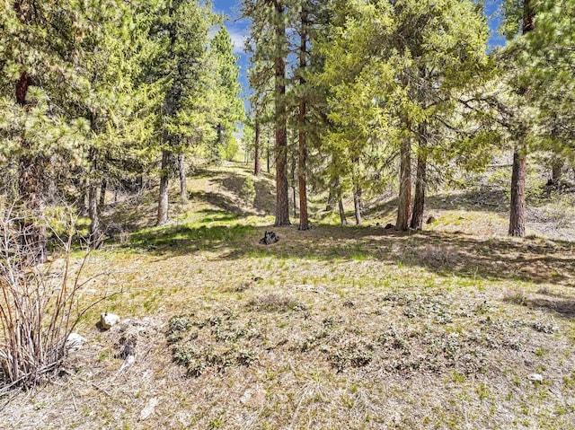 TBD Trinity Creek Rd, Featherville, ID 83647