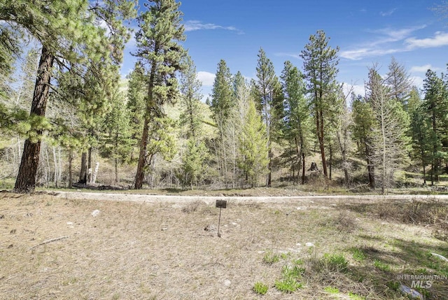 TBD Trinity Creek Rd, Featherville, ID 83647