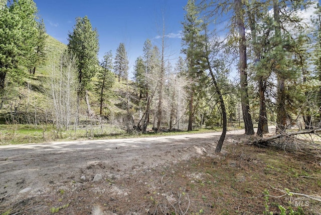 TBD Trinity Creek Rd, Featherville, ID 83647