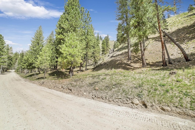 TBD Trinity Creek Rd, Featherville, ID 83647