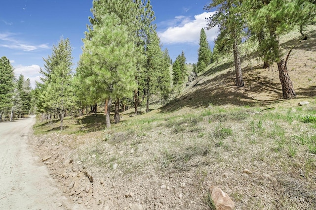 TBD Trinity Creek Rd, Featherville, ID 83647
