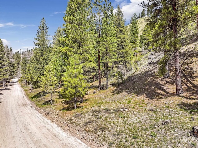 TBD Trinity Creek Rd, Featherville, ID 83647