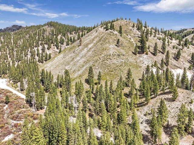 TBD Trinity Creek Rd, Featherville, ID 83647