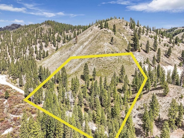 TBD Trinity Creek Rd, Featherville, ID 83647