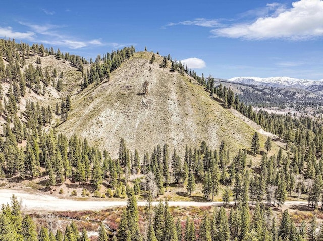 TBD Trinity Creek Rd, Featherville, ID 83647