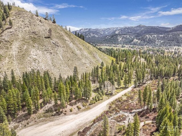 TBD Trinity Creek Rd, Featherville, ID 83647