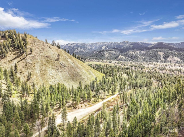 TBD Trinity Creek Rd, Featherville, ID 83647