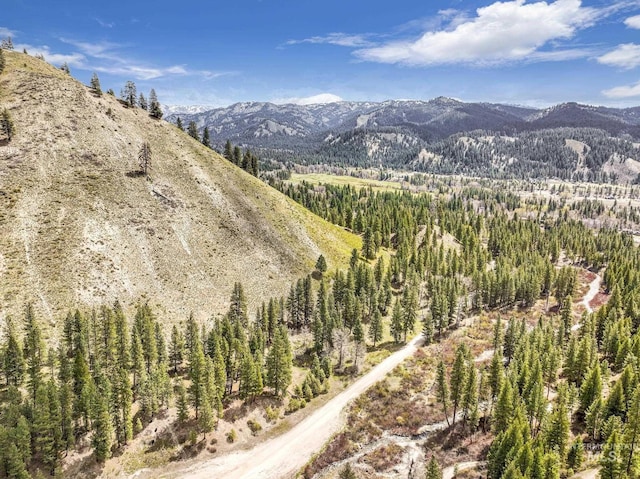 TBD Trinity Creek Rd, Featherville, ID 83647