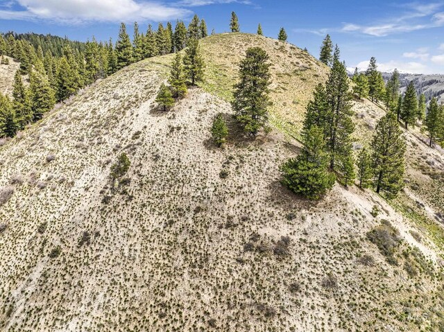 TBD Trinity Creek Rd, Featherville, ID 83647