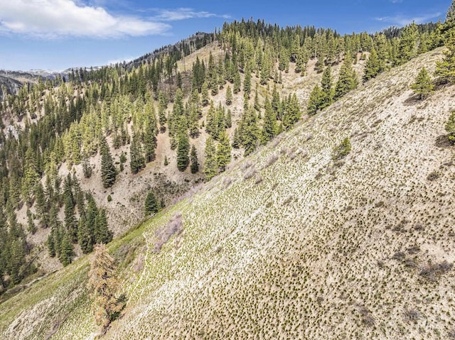 TBD Trinity Creek Rd, Featherville, ID 83647