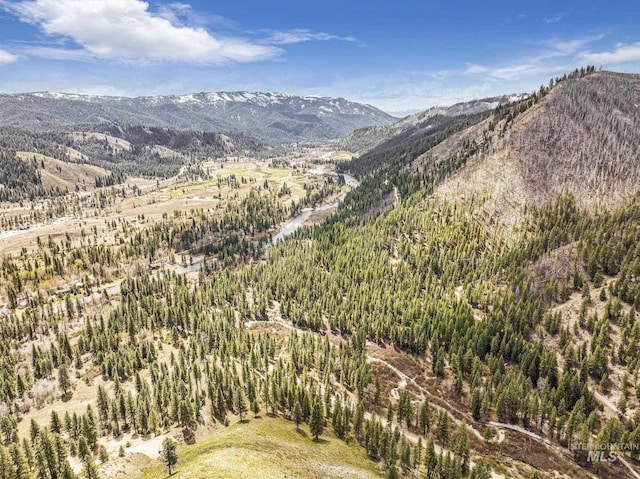 TBD Trinity Creek Rd, Featherville, ID 83647