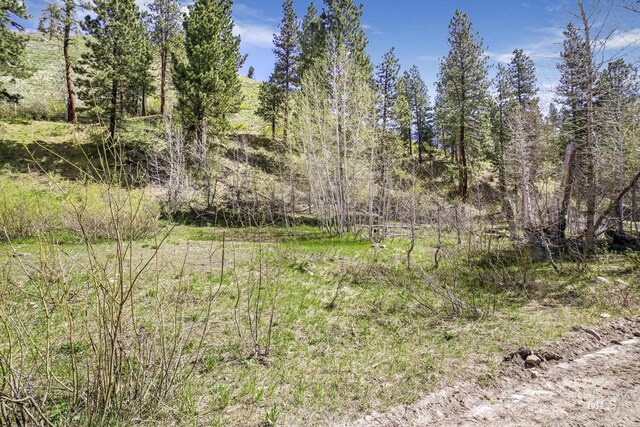 TBD Trinity Creek Rd, Featherville, ID 83647