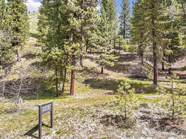 TBD Trinity Creek Rd, Featherville, ID 83647