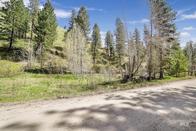 TBD Trinity Creek Rd, Featherville, ID 83647