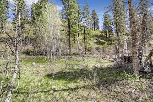 TBD Trinity Creek Rd, Featherville, ID 83647