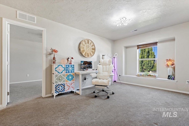 office space featuring a textured ceiling and carpet