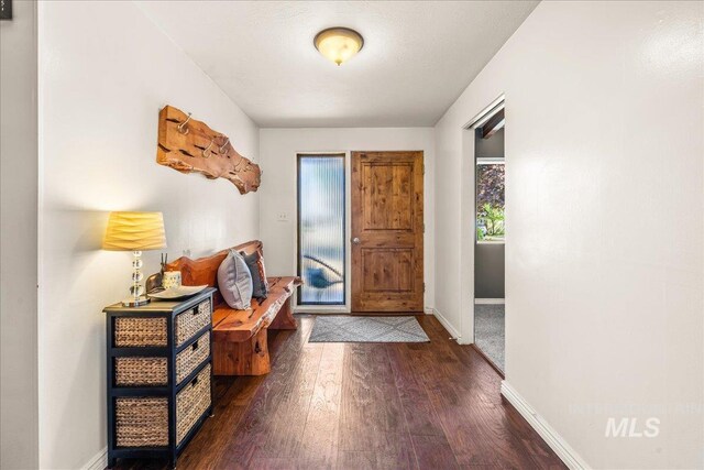 foyer featuring baseboards and hardwood / wood-style floors