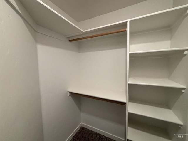 5619 E Bollo St, Nampa, ID 83687 - view of spacious closet