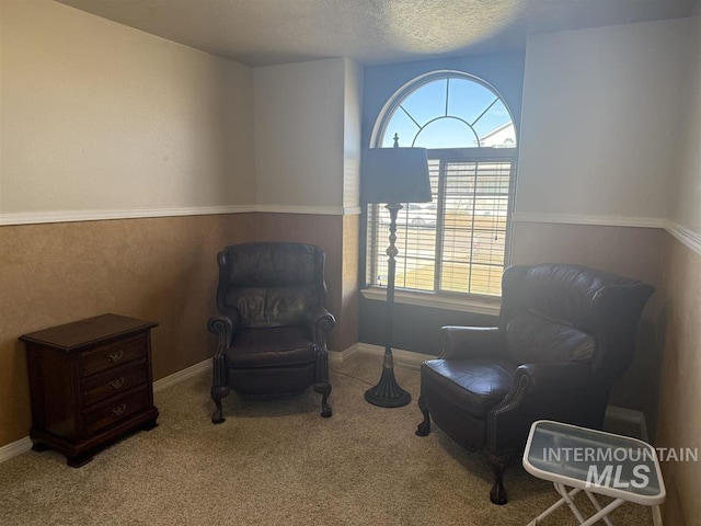 sitting room featuring a textured ceiling and carpet flooring