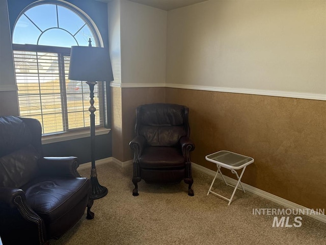 sitting room featuring carpet, plenty of natural light, and baseboards