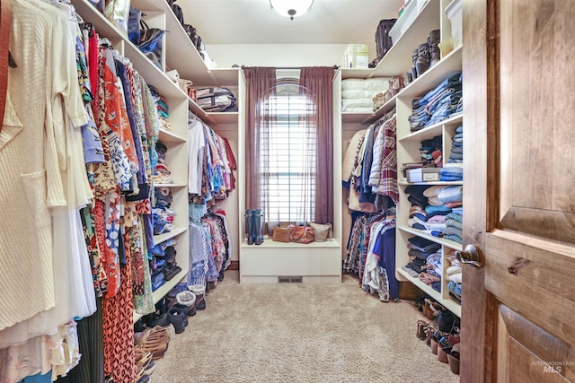 walk in closet with carpet flooring