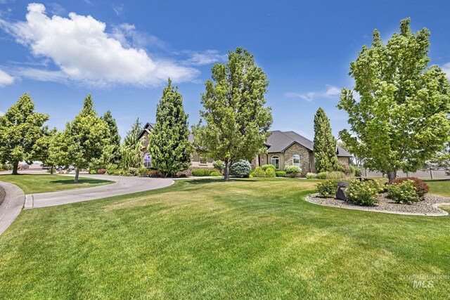 view of community featuring a yard