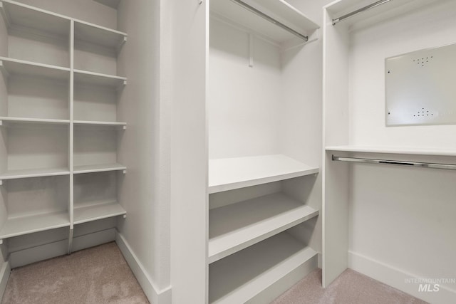 2174 S Myers Pl, Boise, ID 83706 - spacious closet with carpet floors