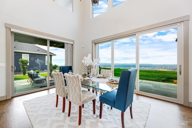 dining room featuring light wood-type flooring