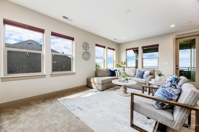 living room with carpet floors