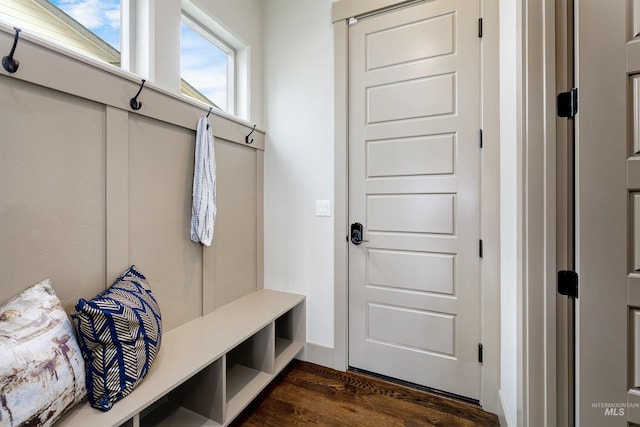 mudroom with dark hardwood / wood-style flooring