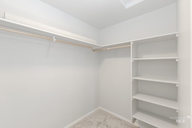 walk in closet with light colored carpet