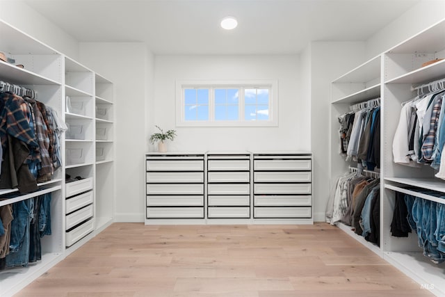 1734 S S Riparian Way, Eagle, ID 83616 - walk in closet with light wood finished floors