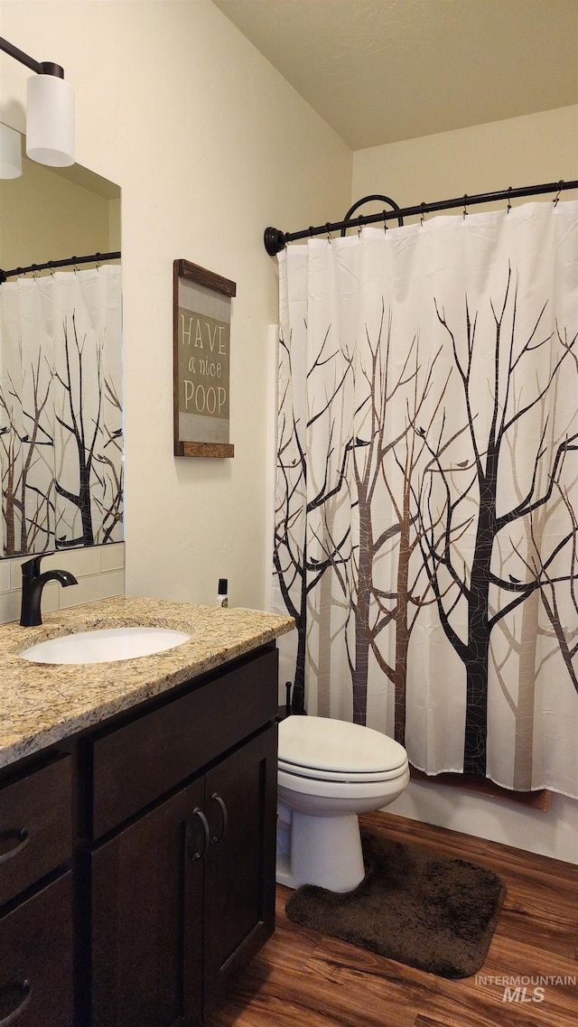 bathroom with large vanity, toilet, and hardwood / wood-style flooring