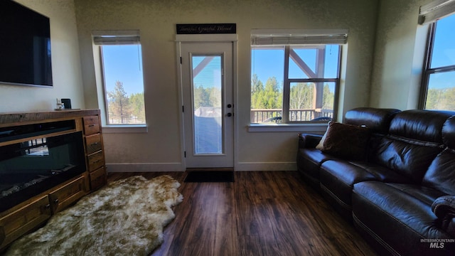 living room with dark hardwood / wood-style flooring