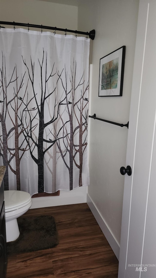 bathroom with wood-type flooring, vanity, and toilet