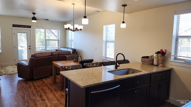 kitchen with sink, plenty of natural light, and dark hardwood / wood-style flooring