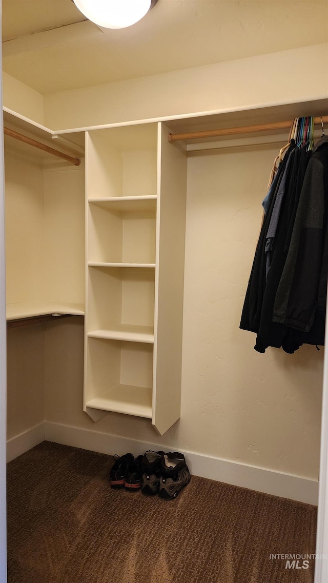 spacious closet with dark colored carpet